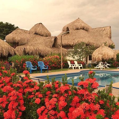 Palomino Breeze Hostal Ngoại thất bức ảnh