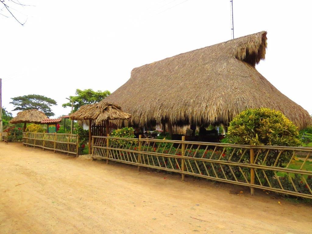 Palomino Breeze Hostal Phòng bức ảnh