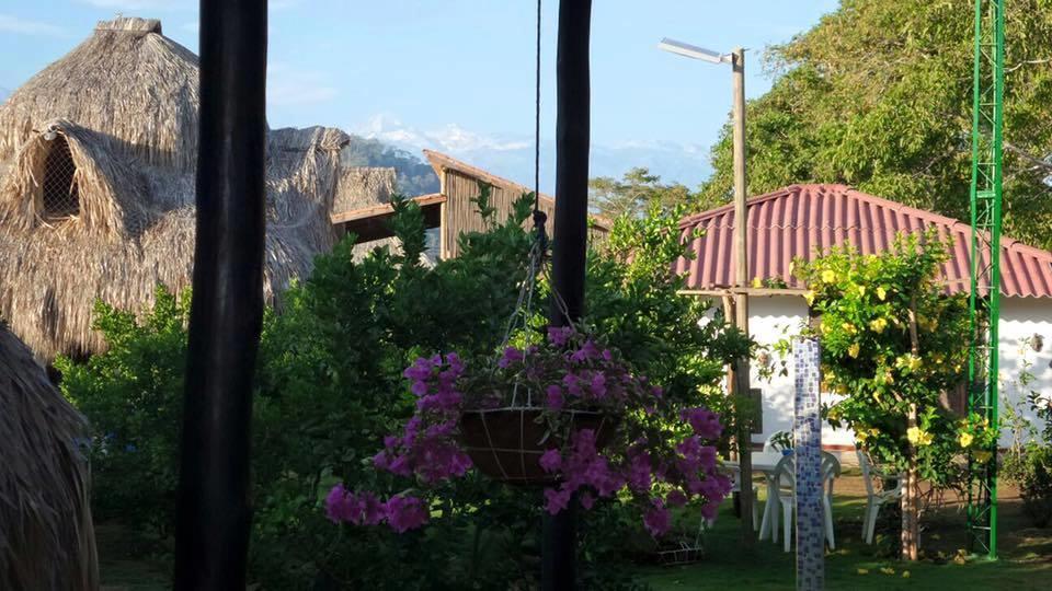 Palomino Breeze Hostal Ngoại thất bức ảnh