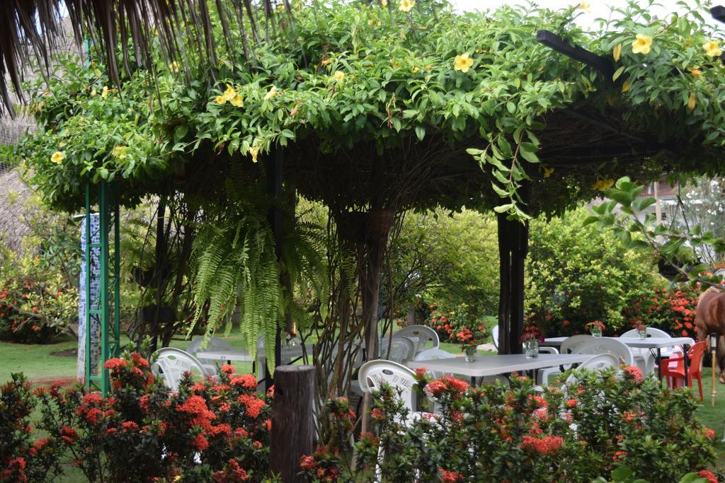 Palomino Breeze Hostal Ngoại thất bức ảnh