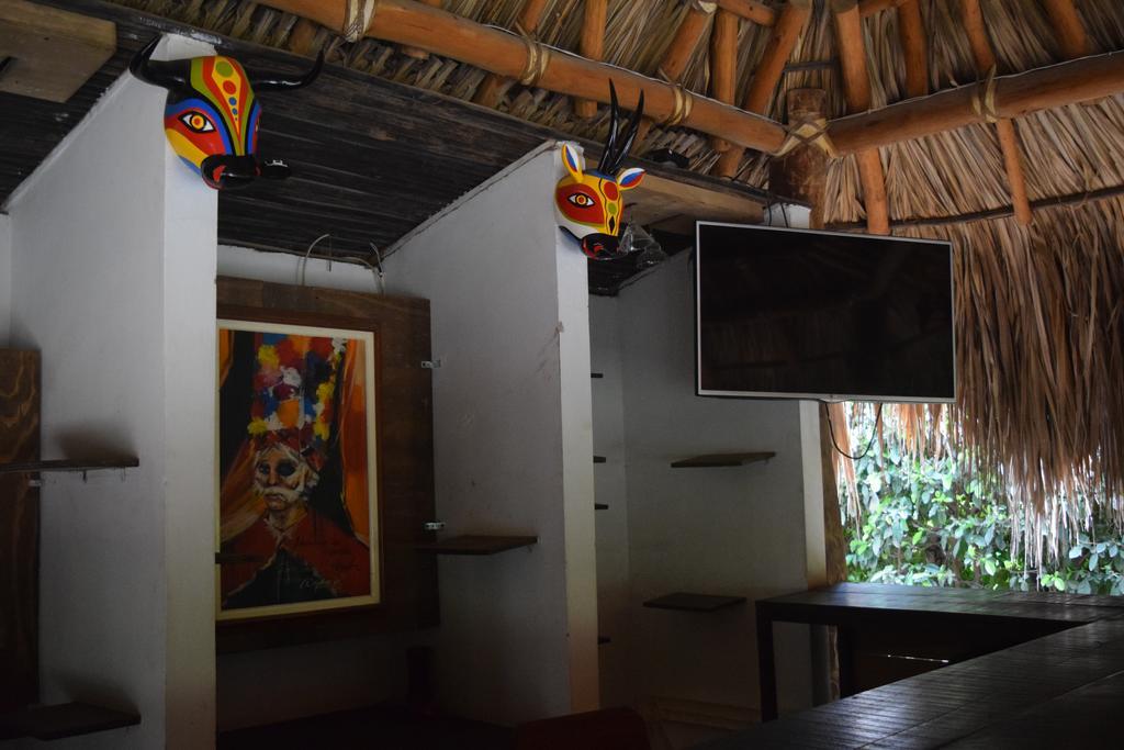 Palomino Breeze Hostal Ngoại thất bức ảnh