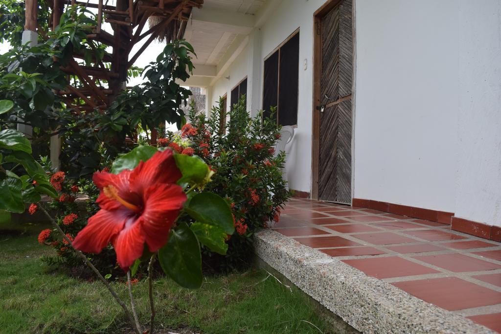 Palomino Breeze Hostal Ngoại thất bức ảnh