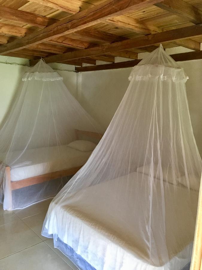 Palomino Breeze Hostal Ngoại thất bức ảnh